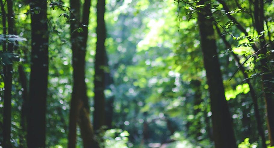 Commerce international Cie., Ltd de Jiaxing Xuanyi