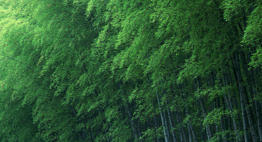 Commerce international Cie., Ltd de Jiaxing Xuanyi